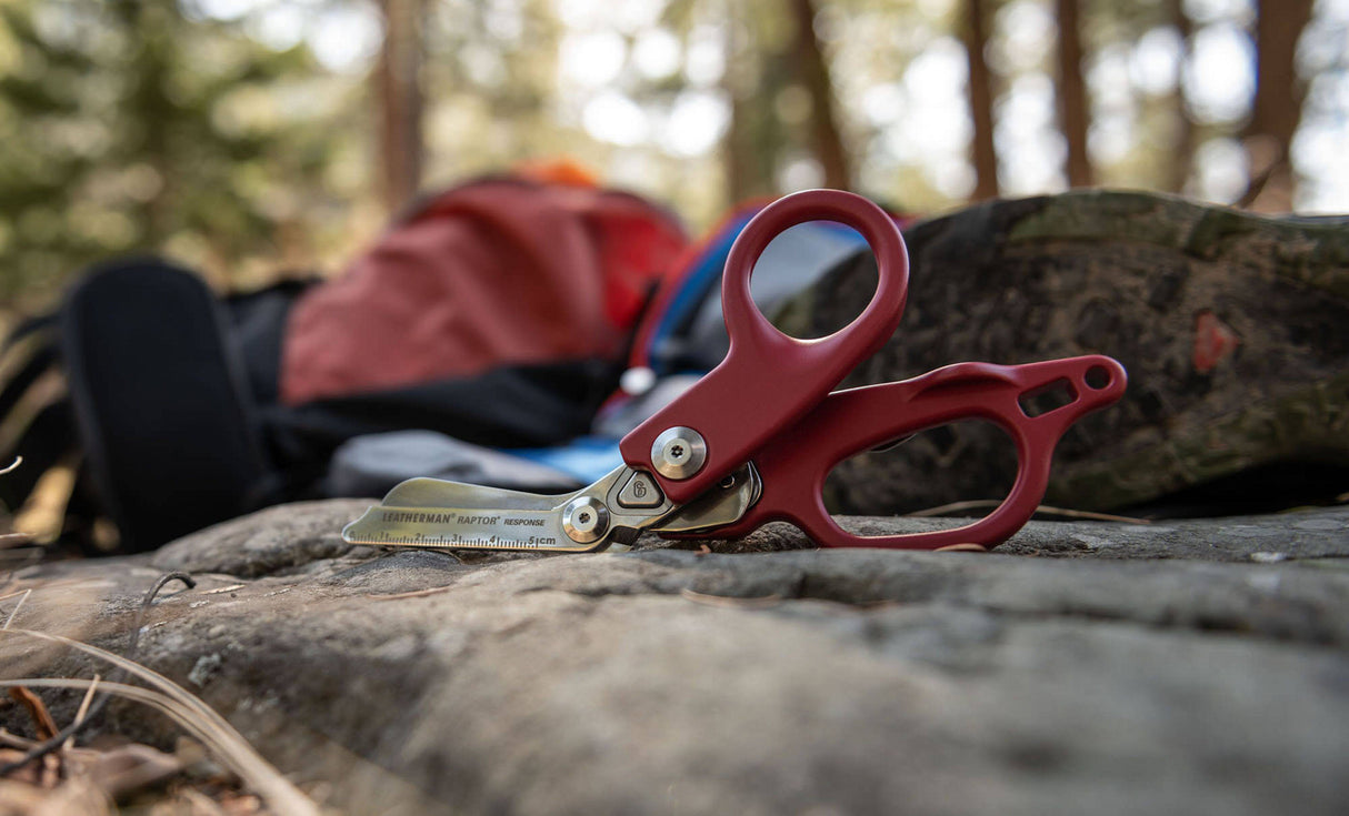 Translation missing: pl.raptor response next to a campsite