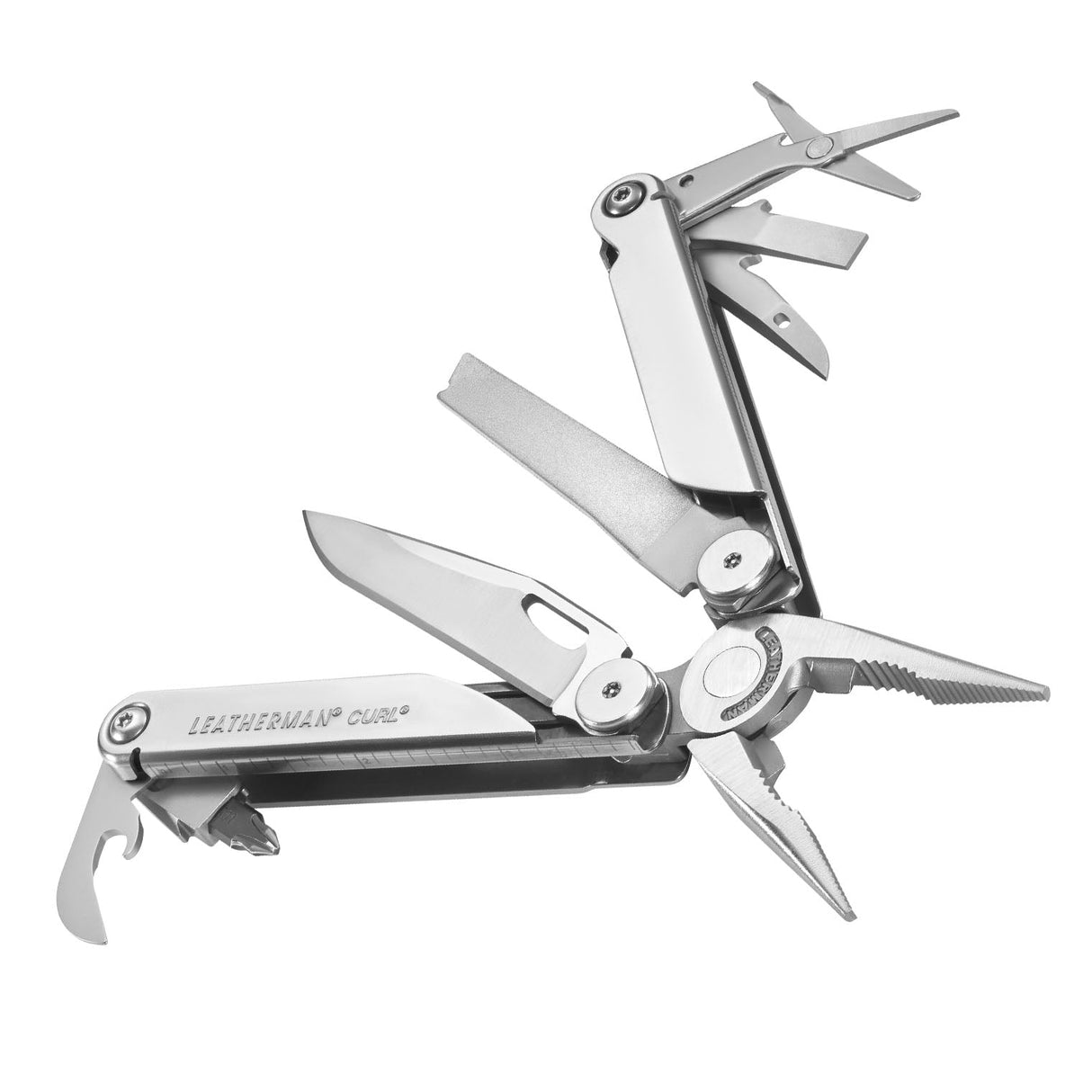 Translation missing: de.Curl canted and in open fanned position