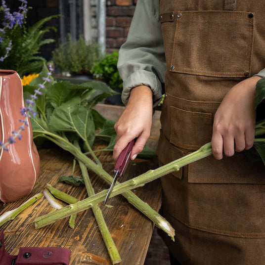 Translation missing: nl.Woman using the knife on a Heathered Cranberry Leatherman Bond to cut the bottom of a sunflower stem