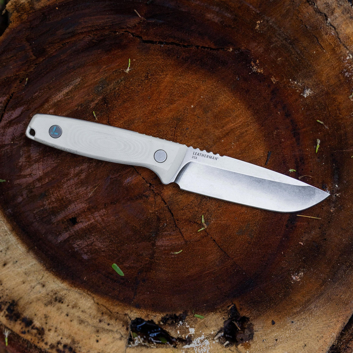 Translation missing: de.Leatherman Trac Alpine fixed-blade knife with a light-colored handle displayed on a weathered tree stump outdoors, surrounded by natural forest debris