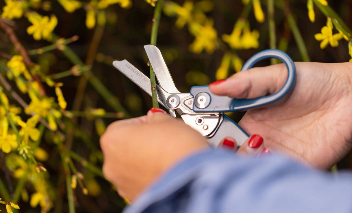 gardening with the raptor response